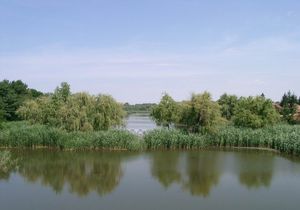 Hármas-Körös river and its inundation area